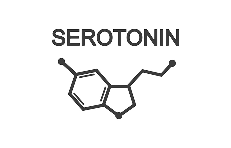 fibromyalgia low serotonin